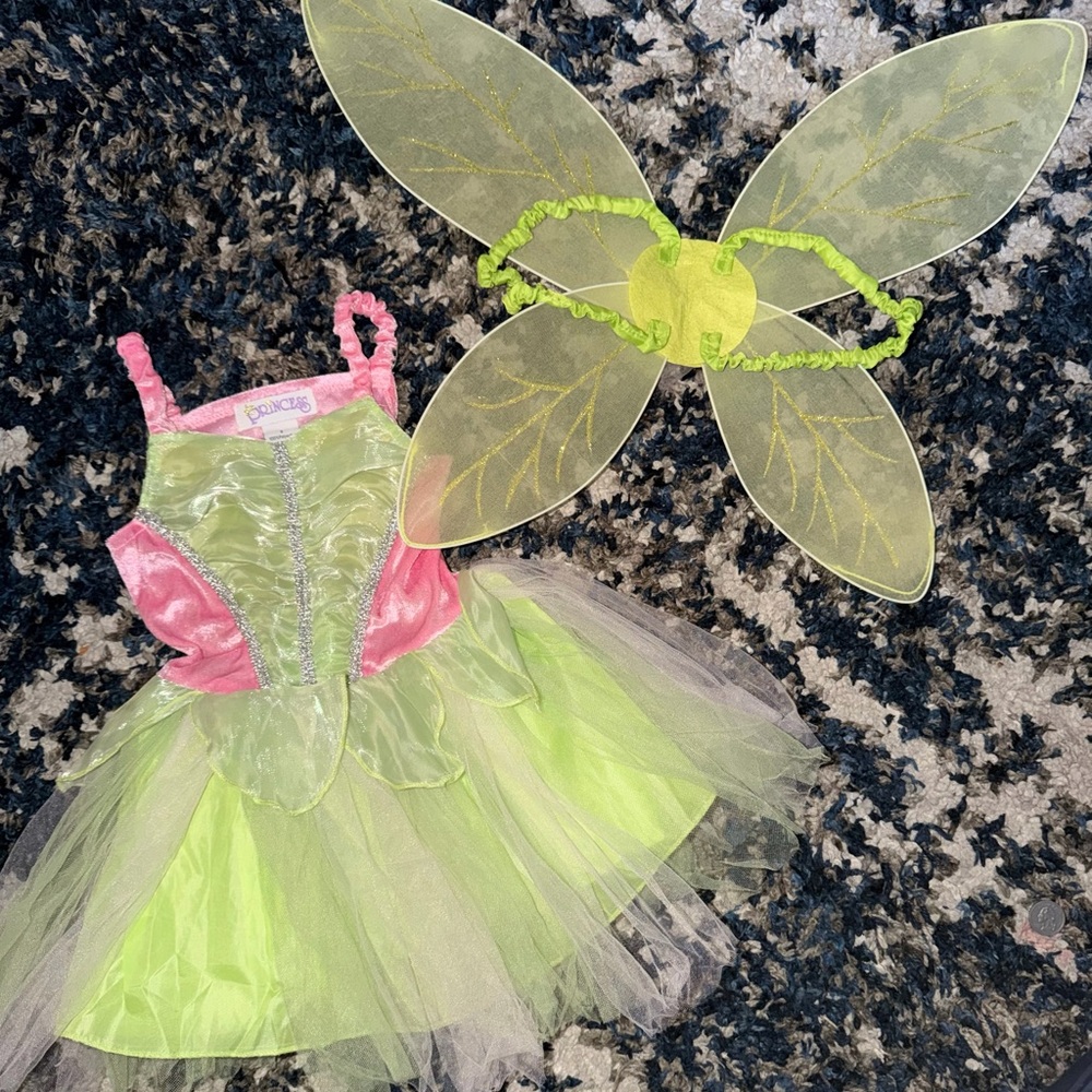 Prince Enchanted Fairy Costume - Pink and Green